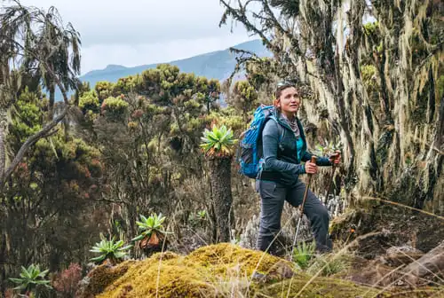 Le paradis des amateurs de trek et de rando