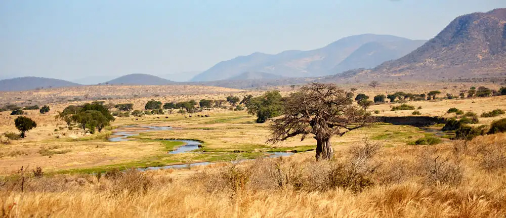 Le parc national de Ruaha