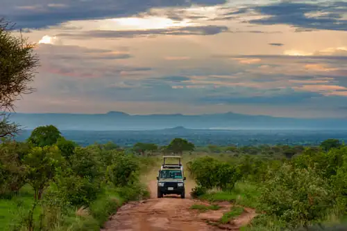 Le parc national de Tarangire