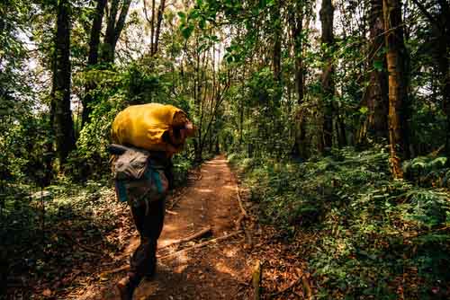 quelle periode pour safari tanzanie